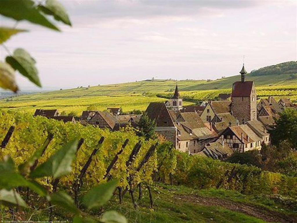 Fast Hotel Colmar Houssen Zewnętrze zdjęcie